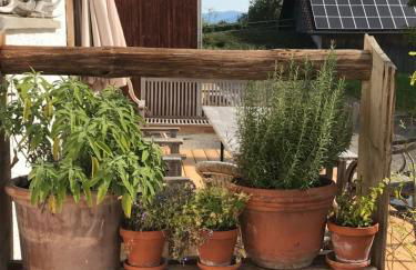 Ferienwohnung mit Alpenblick - Foto 25