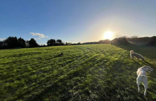 The Fireman's Bungalow - Foto 22