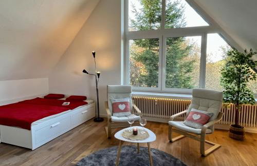 Apartment Falkennest - mit Blick auf den Titisee by Interhome - Foto 11