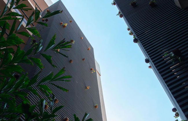 Start Villa Morra - Foto 5