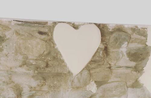 Y Boidy Bach - Photo 24