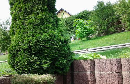 Ferienhaus Waldblick - Foto 6