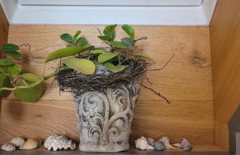 Schwarzwaldliebe Neuried 20 Min zum Europa Park - Foto 13