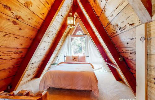 The Regal Bear - Foto 13