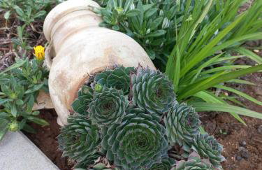 lastva 1&2 - Photo 8