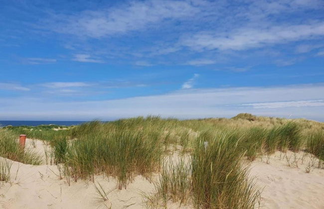 Peaceful Retreat Near Zeeland Beach - Photo 23