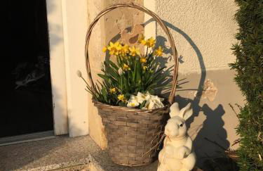 Feriendomizil Mikesh - Foto 16