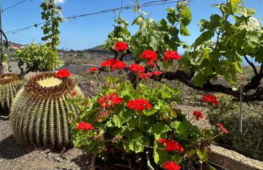 Agrotur Fenix - Foto 14