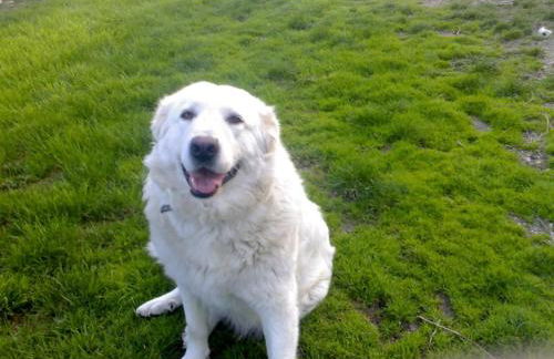 Alloggio Casale Stella - Foto 48