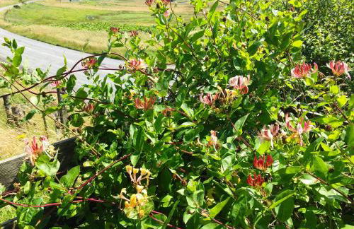 Crepigill Cottage - Foto 15