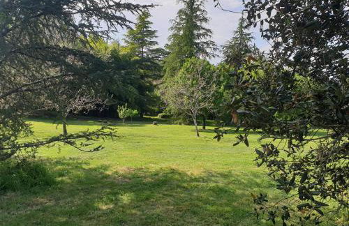 Le jardin Chuchotant - Photo 23