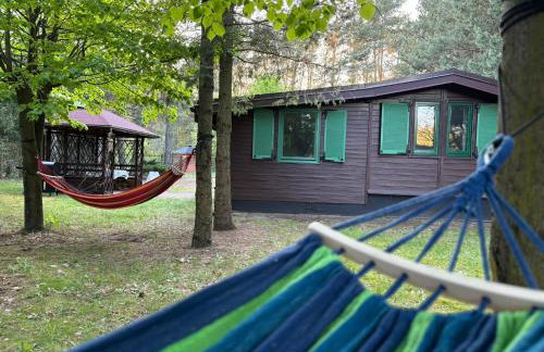 Leśny Zakątek - Foto 32