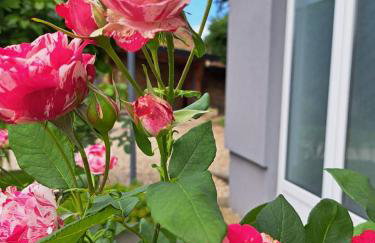 Apartmani Habibi - Foto 38