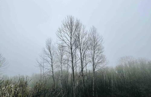 Lakeview Home by Lightrail Downtown & Airport - Foto 21