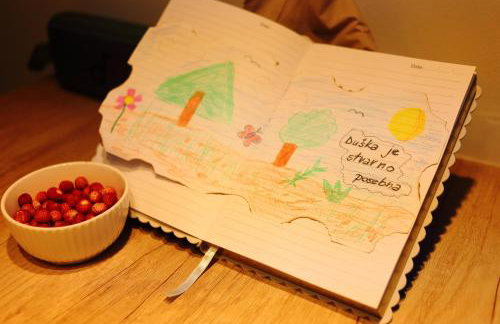 Dushka Mountain Cabin - Photo 53