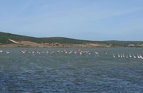 Casa Barbara Sardinia - Foto 38