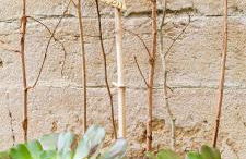 Gîte et SPA Chez Jules - Foto 32