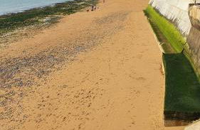 Marina Place - Foto 22