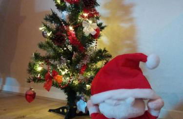 appartement au calme face au lac - Photo 24