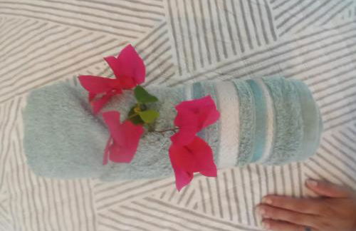 Chales Da Mata - Foto 60