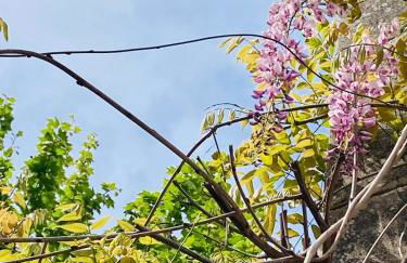 Le Nid de la Huppe - Foto 41