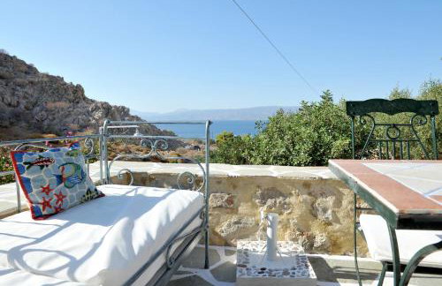 Hydra Erato - Foto 6