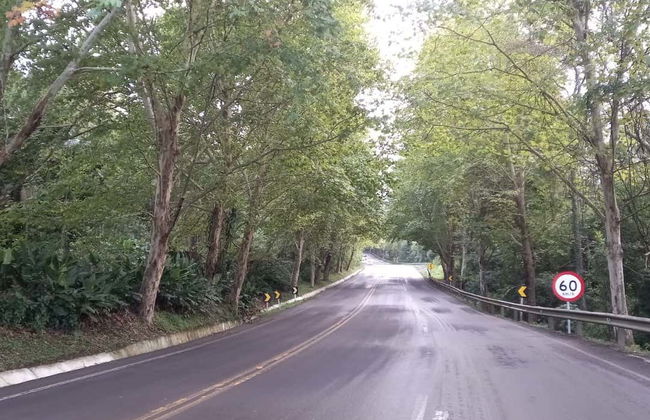 Tour dello shopping negli outlet di Novo Hamburgo e Igrejinha - Foto 7