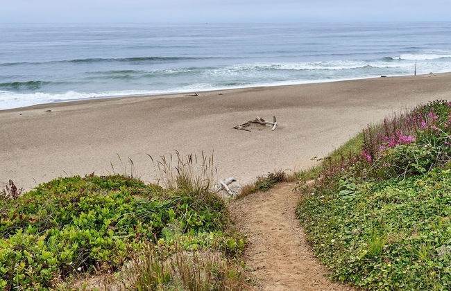 Surfer's Beach Retreat - Foto 31