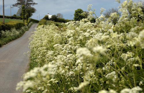 Ropewalk Cottage - A Little Treasure By The Coast - Foto 36