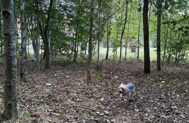 Cheerful 4-bedroom house with multiple car parking - Foto 43