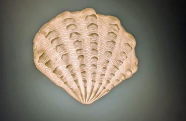 Maison atypique pour 4 personnes - proche plage - Foto 17