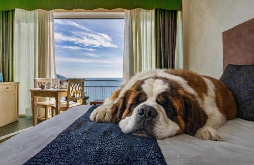 Baba Residences - Foto 8