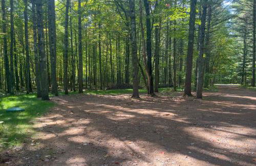 Northwoods Resort - Photo 42