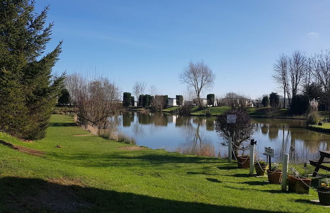 Holly Cottage - Photo 10