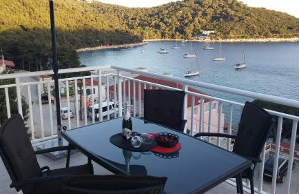 Apartments Pavlić - Photo 1