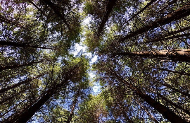 Dam It Getaway- Homestead - Foto 28