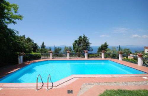 La Violetta - Photo 3