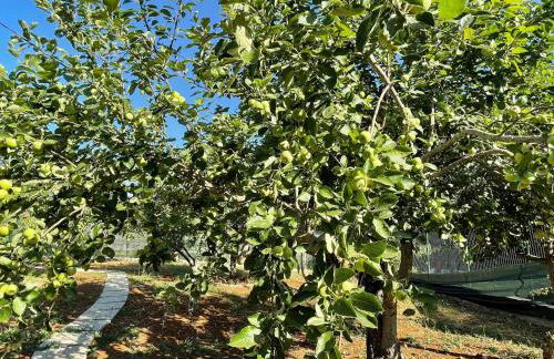 Case vacanza Centro estivo Il Catauso - Foto 28