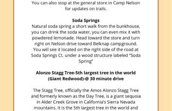 BunkHouse 1960's Camp Vibe with Timeless Wet Bar - Foto 79