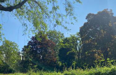 Maisons Alfort - Cosy appartement - Foto 12