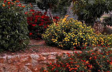 Physis Villas Chania - Foto 120
