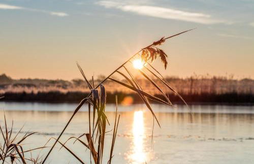 Landhaus Wusse Ferienwohnung Stralsund - Foto 48