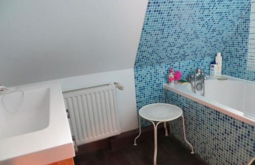 Traditional Countryside House Chateaux de la Loire - Foto 62