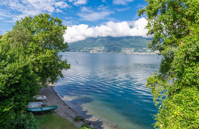 Vince (DOX200) - Photo 27