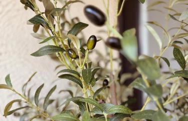 Stylish studio apartment with beautiful terrace near Audi - Photo 40