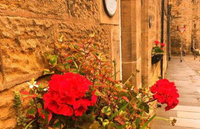 Juliet Cottage, late Georgian treasure, charming, cosy and historic, only a short walk to Alnwick Castle - Foto 1