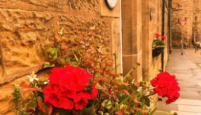Juliet Cottage, late Georgian treasure, charming, cosy and historic, only a short walk to Alnwick Castle - Foto 1