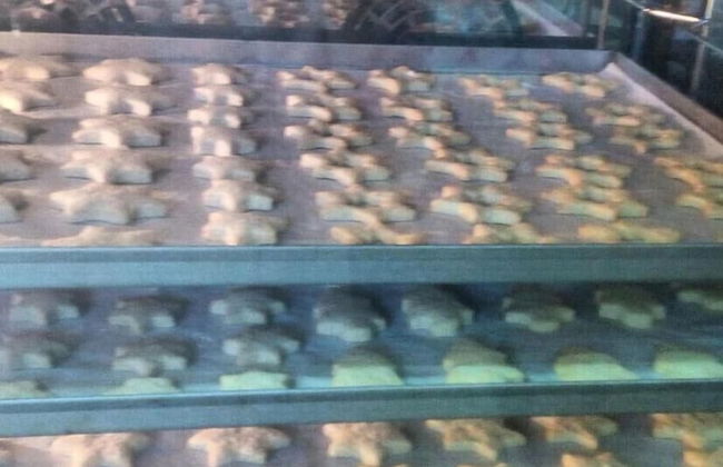 Agriturismo Agrifoglio - Foto 42