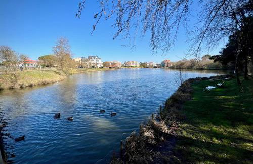 L’Archipel de Talmont - Foto 49