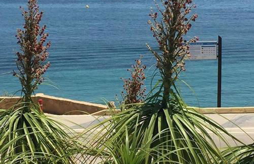 Apartamentos Santa Clara - Foto 11